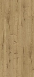 Ламинат KAINDL Classic Touch 8.0 Standard Plank 37813 MO Дуб Северина